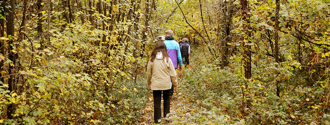 Cosa è “Forest Bathing” (Shinrin-Yoku)?