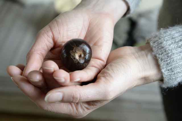 3 regole etiche per proteggere il nostro nocciolo duro