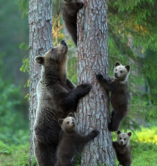 TERRAMADRE: festa della mamma in natura il 10 Maggio