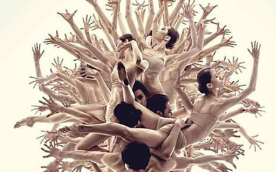 Women Tree – L'albero delle donne