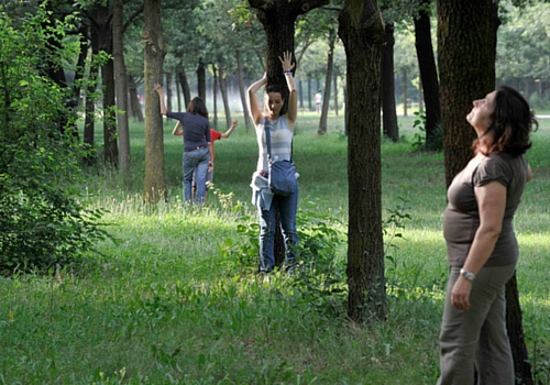 Yoga degli alberi il 4 Giugno a Treviglio (BG)