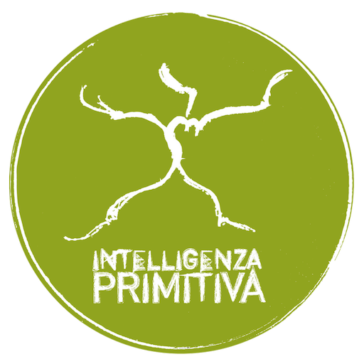 Intelligenza Primitiva